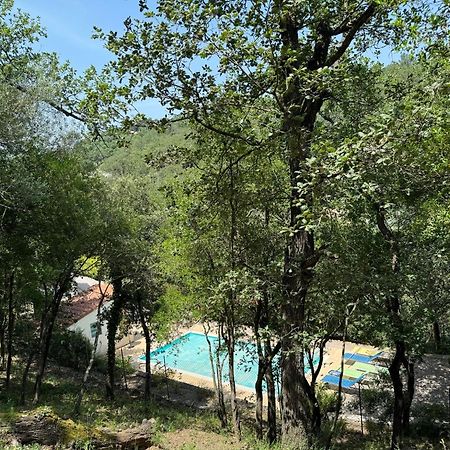 Maison Avec Piscine Chauffee Entre Mer Et Montagne Montauriol  Luaran gambar