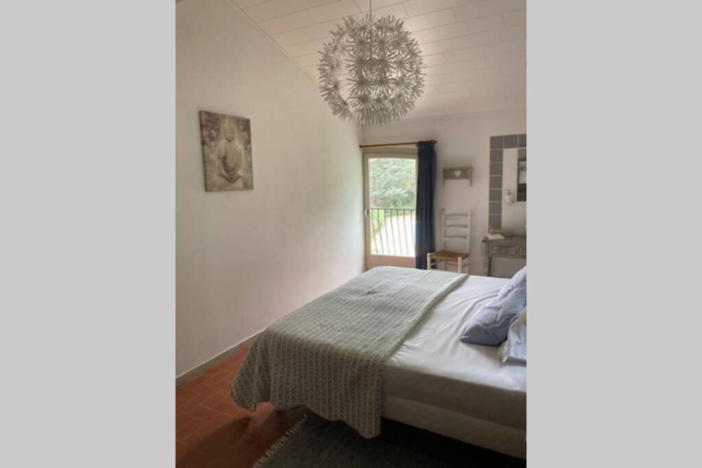 Maison Avec Piscine Chauffee Entre Mer Et Montagne Montauriol  Luaran gambar